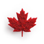 Maple leaf